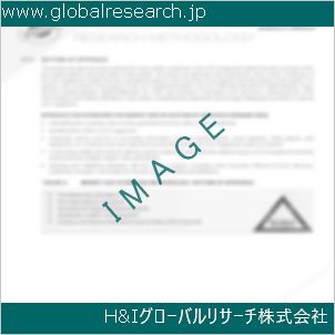 グローバルリサーチ調査資料のイメージ